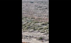 Ağyatan Lagünü’nde erozyonla mücadele başlatıldı