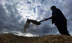 1,7 Milyar lira tarımsal destek ödemesi başlıyor