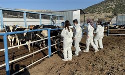 Uygulama çiftliği öğrencilere sahada eğitim sunuyor