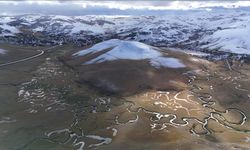 Ordu’nun Perşembe Yaylası doldu taştı