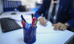 Doğa Koruma ve Milli Parklar 10 müfettiş yardımcısı alacak