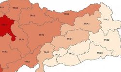 TÜİK verilerine göre Hakkari gelirde son sırada