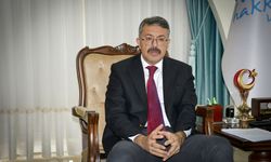 Hakkari Valisi Çelik'ten yeni yıl mesajı