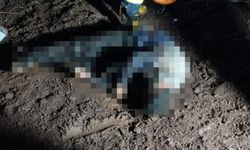 Hakkari’de donarak ölen gencin cenazesine ulaşıldı