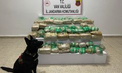 Arazide 51 kilo skunk ele geçirildi