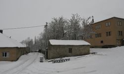 Hakkari ve ilçelerinde soğuk ve sis etkisini artırıyor