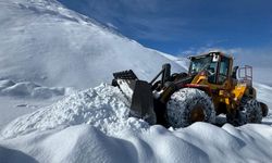 Hakkari'de kapanan köy yolları bir bir açılıyor