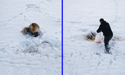 Hakkarili Doğa Fotoğrafçısı İyinç’ten yürek ısıtan kareler