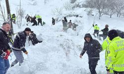 Van’da çığ felaketi: bir kadın kayıp
