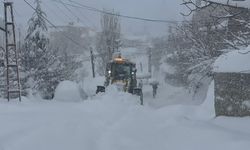 Yüksekova'da araçlar kara gömüldü