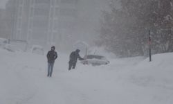 Bitlis’te kar hayatı durma noktasına getirdi