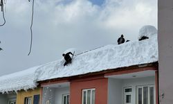 Beytüşşebap’ta çatılarda biriken karlar temizleniyor