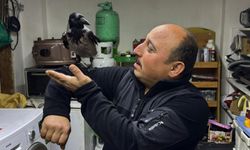 Tedavi ettirdiği karga, iş yerinde yanından ayrılmıyor