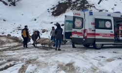 Mezradaki hasta kızakla ambulansa ulaştırıldı