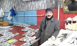 Hakkari’de balık tezgahları dolu, alıcı yok