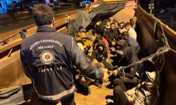 Hatay'da 174 kaçak göçmen yakalandı