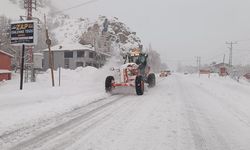 Hakkari-Çukurca karayoluna çığ düştü