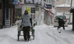 Van'da 287 yerleşim yeri ulaşıma kapandı