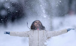 Hakkari'de okullar yarın tatil edildi