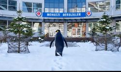 “Nihilist Penguen” Hakkari Üniversitesi Kampüsünde