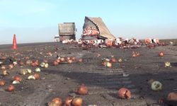 2 tırın çarpıştığı kazada, sürücüler yaralandı