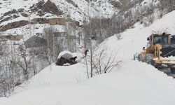 Hakkari’de mahsur kalan atlar kurtarıldı