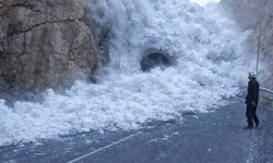 Hakkari–Van Karayolu çığ nedeniyle ulaşıma kapandı