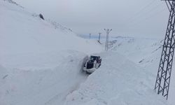 Yüksekova’da mezra yoluna düşen çığ temizlendi