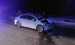 Domuz sürüsüne çarpan otomobildeki 3 kişi yaralandı