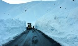 Hakkari-Şırnak kara yolu ulaşıma açıldı