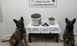 Bingöl'de yasaklı madde operasyonunda 3 şüpheli yakalandı