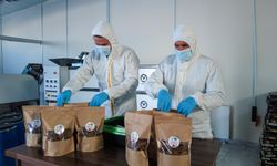 Van’da sahipsiz hayvanlar için mama tesisi kuruldu