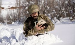 Hakkari'de besiciler zorlu mesaide