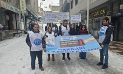 Hakkari KESK'ten iş bırakma eylemi