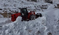 Hakkari’de 12 köy ve 31 mezra yolu ulaşıma kapalı