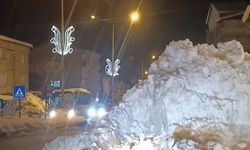 Hakkari Milletvekili Bartın'dan kar tepkisi