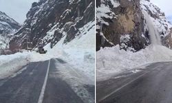 Hakkari–Çukurca karayolunda iki noktada çığ düştü