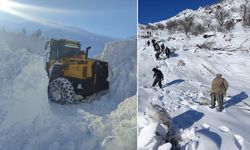 Çığın vurduğu İde Mahallesinde son durum ne?