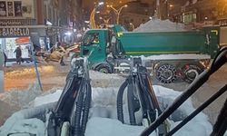 Hakkari'de karla mücadele çalışmaları sürüyor