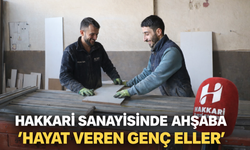 Hakkari sanayisinde ahşaba hayat veren genç eller