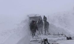 Hakkari'de farklı noktalara düşen çığlar temizlendi