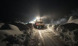 Hakkari'de köy yolları kapandı, 14 noktaya çığ düştü