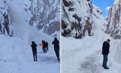 Hakkari Van Karayoluna yeniden çığ düştü