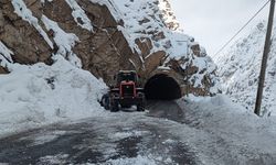 Hakkari - Van kara yoluna çığ düştü
