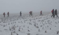 Diyarbakır’da kayıp kadını 410 kişilik ekip arıyor