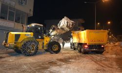 Derecik'te karla mücadele mesaisi