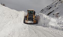 Hakkari’de 22 yerleşim yerinin yolu kapandı