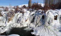 Muradiye Şelalesi kışın etkisiyle buzla kaplandı