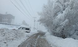 Hakkari'de kar yaşamı olumsuz etkiledi