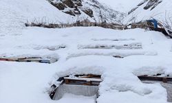 Hakkari’de 137 arı kovanı çığ altında kaldı